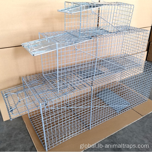 China New Arrival Hot Sale of Animal Trap Cage Factory